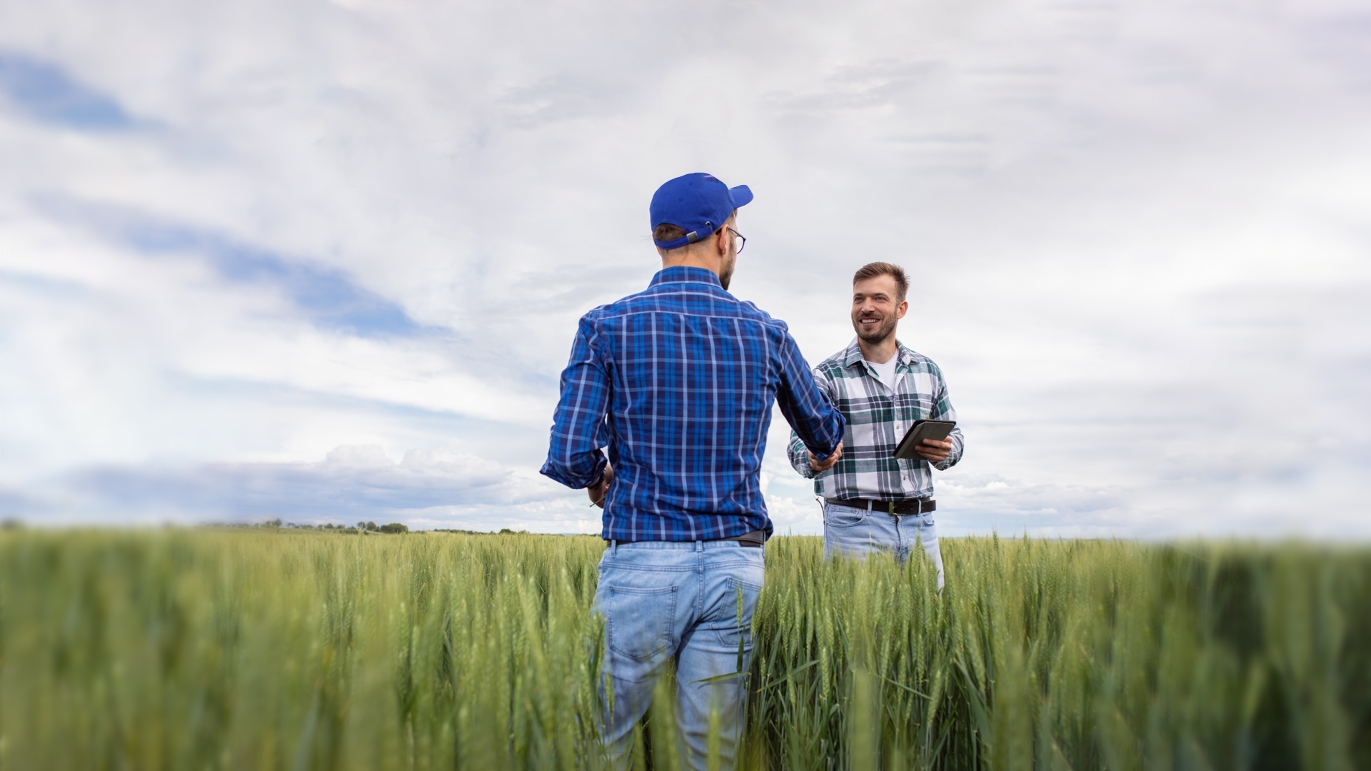 Two farmers shaking hands within a field of wheat
